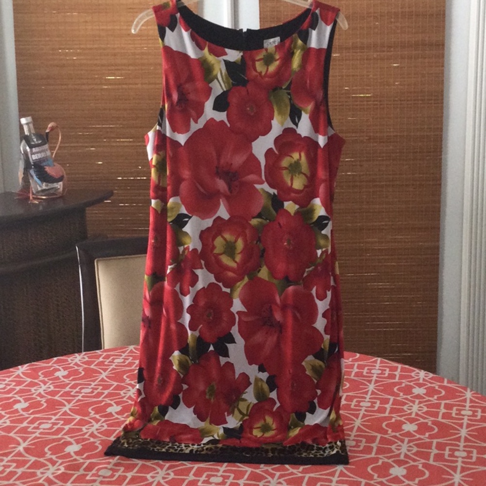 Cache dress.  Size 14